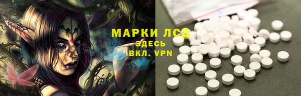 a pvp Алзамай