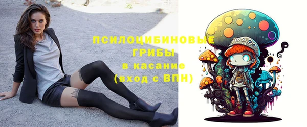 гидра Алексин
