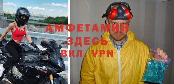 гидра Алексин