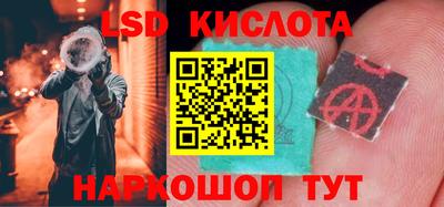 МДПВ Бердск