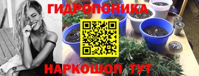 прущие грибы Белореченск