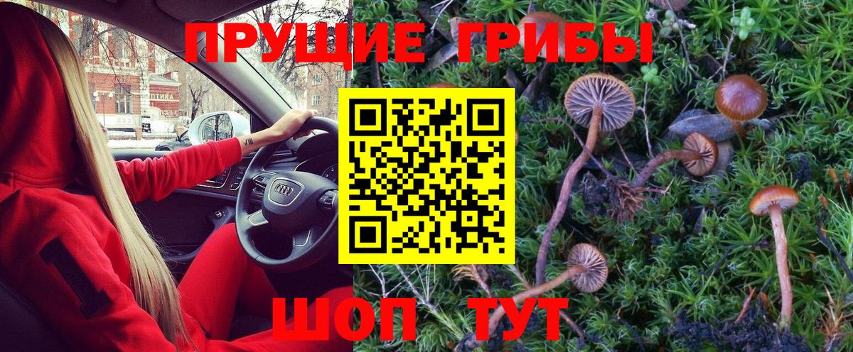 Салават  Галлюциногенные грибы Psilocybine cubensis  Вход с VPN 
