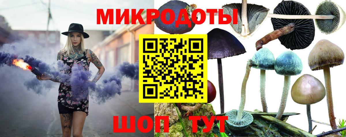 Псилоцибиновые грибы Psilocybine cubensis Салават